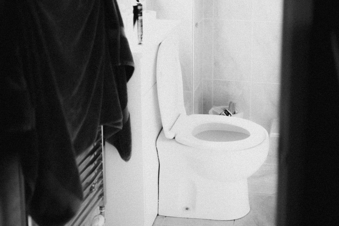 Waterless Composting Toilet