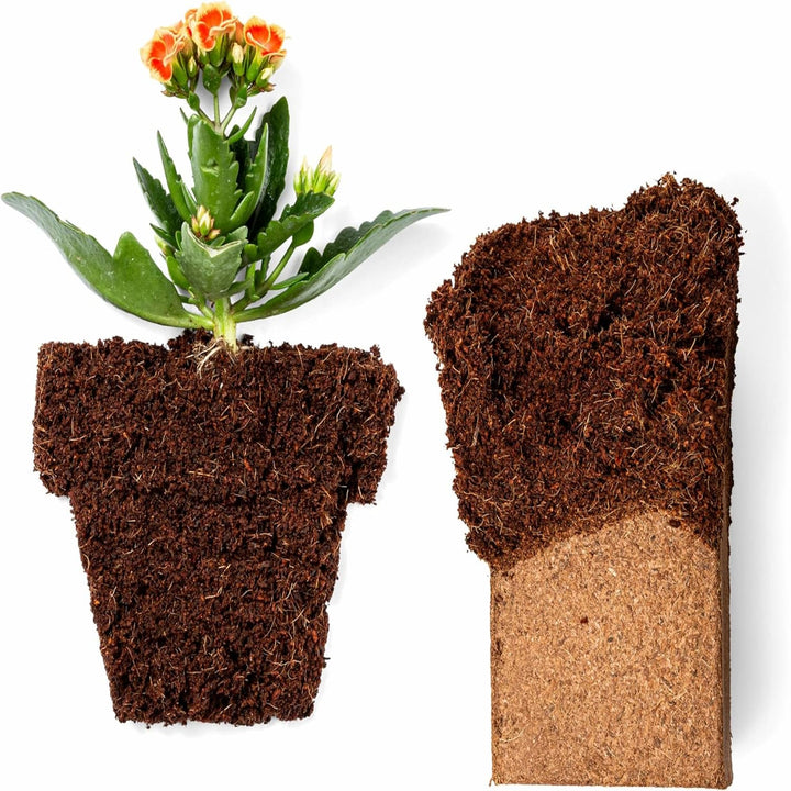 Plantonix Coco Bliss Brick - 650 g Coco Coir / Pith Premium Organic Coir Growing Media Peat Alternative