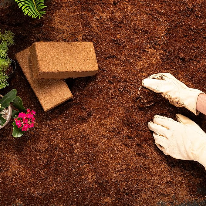 Plantonix Coco Bliss Brick - 650 g Coco Coir / Pith Premium Organic Coir Growing Media Peat Alternative